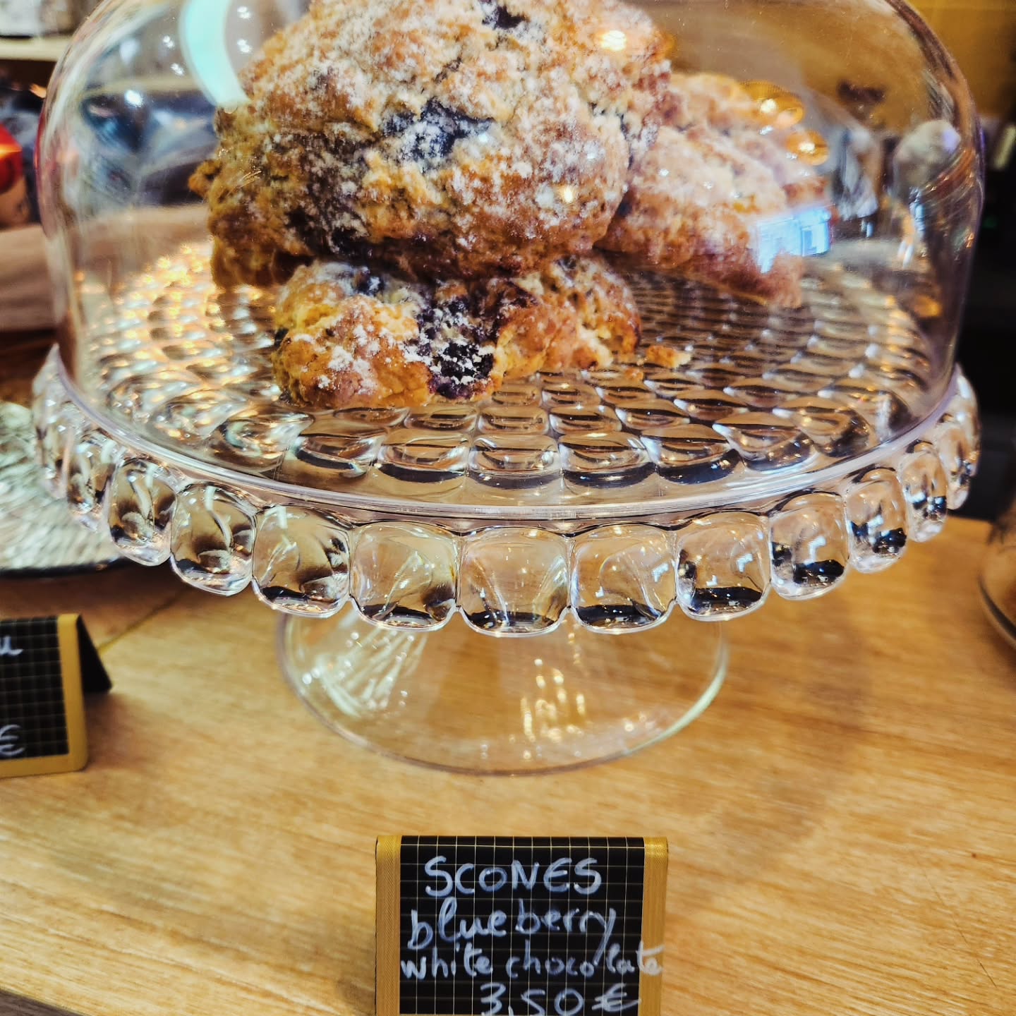 Librairie Périgueux 